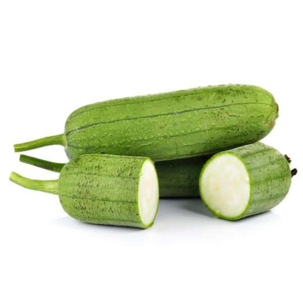 SPONGE GOURD