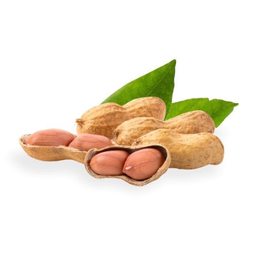 GROUND NUT FRESH