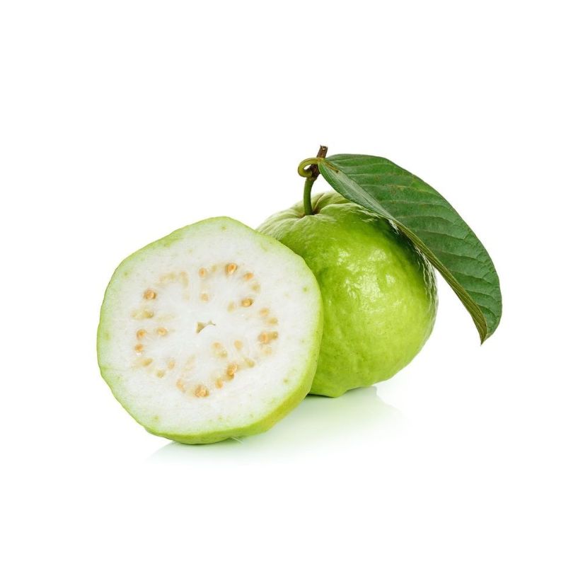 GUAVA WHITE