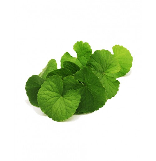 BRAHMI LEAVES / VANDHELAGA