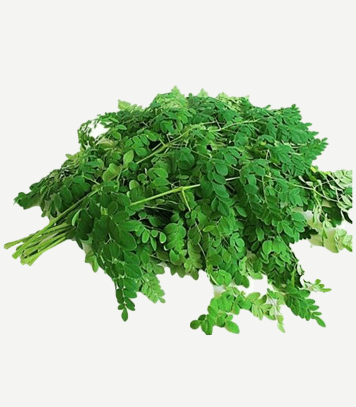 GANIKKA LEAVES