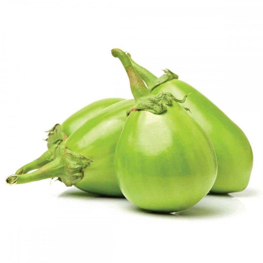 BRINJAL GREEN
