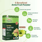 Radico Amla Powder 100 G