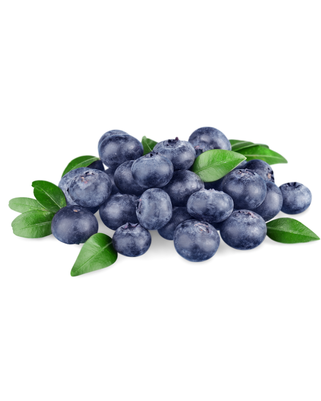 BLUEBERRY