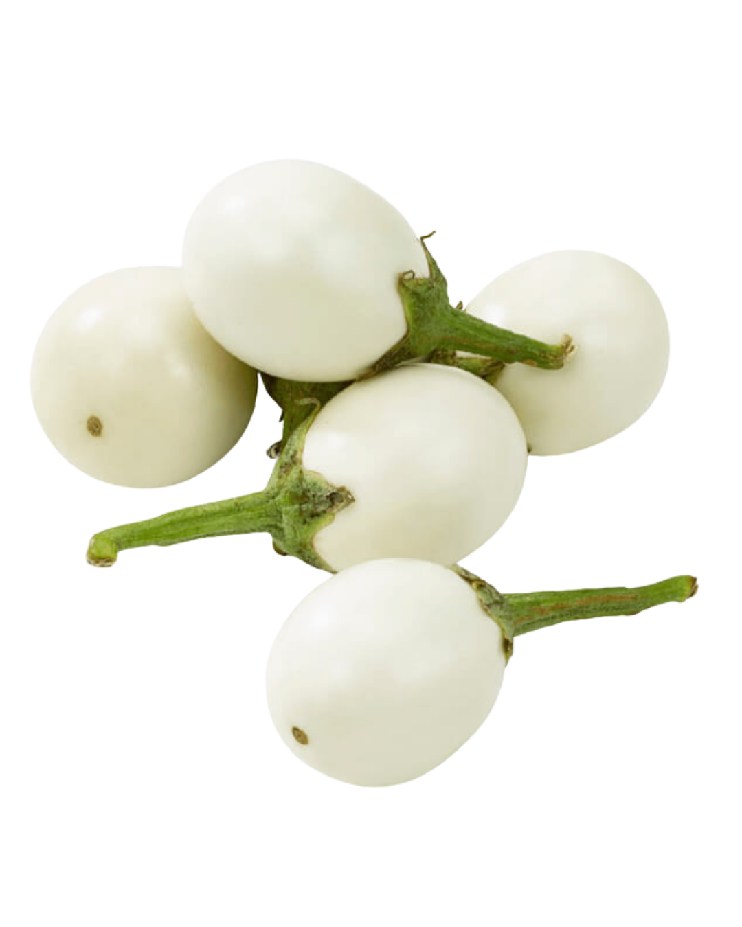 BRINJAL WHITE
