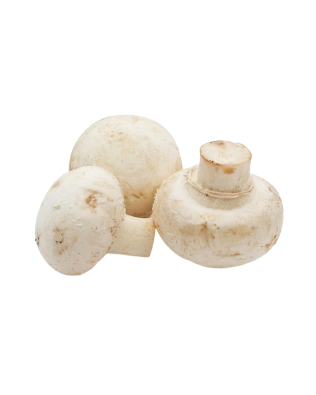 Button Mushroom