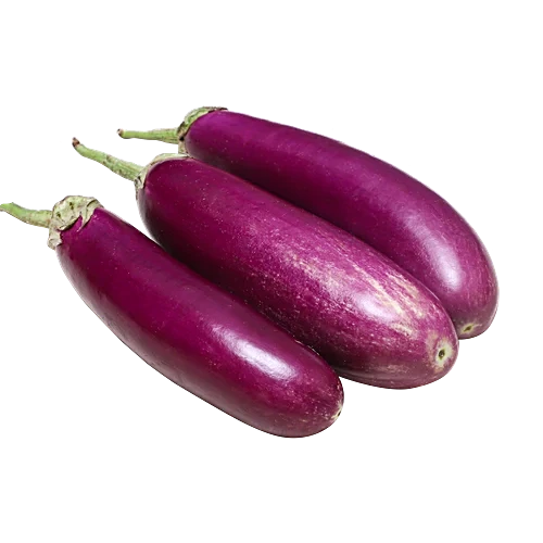 Brinjal Long