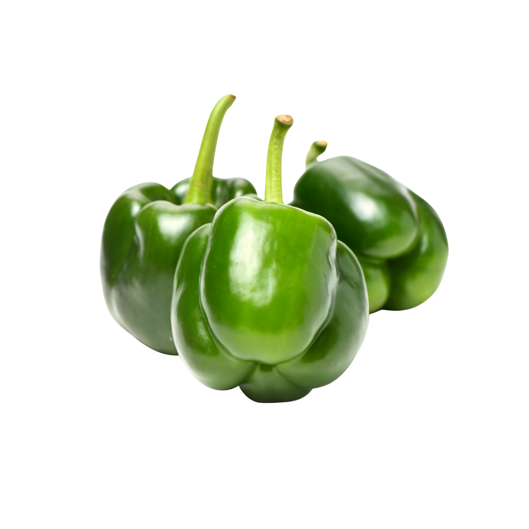Capsicum