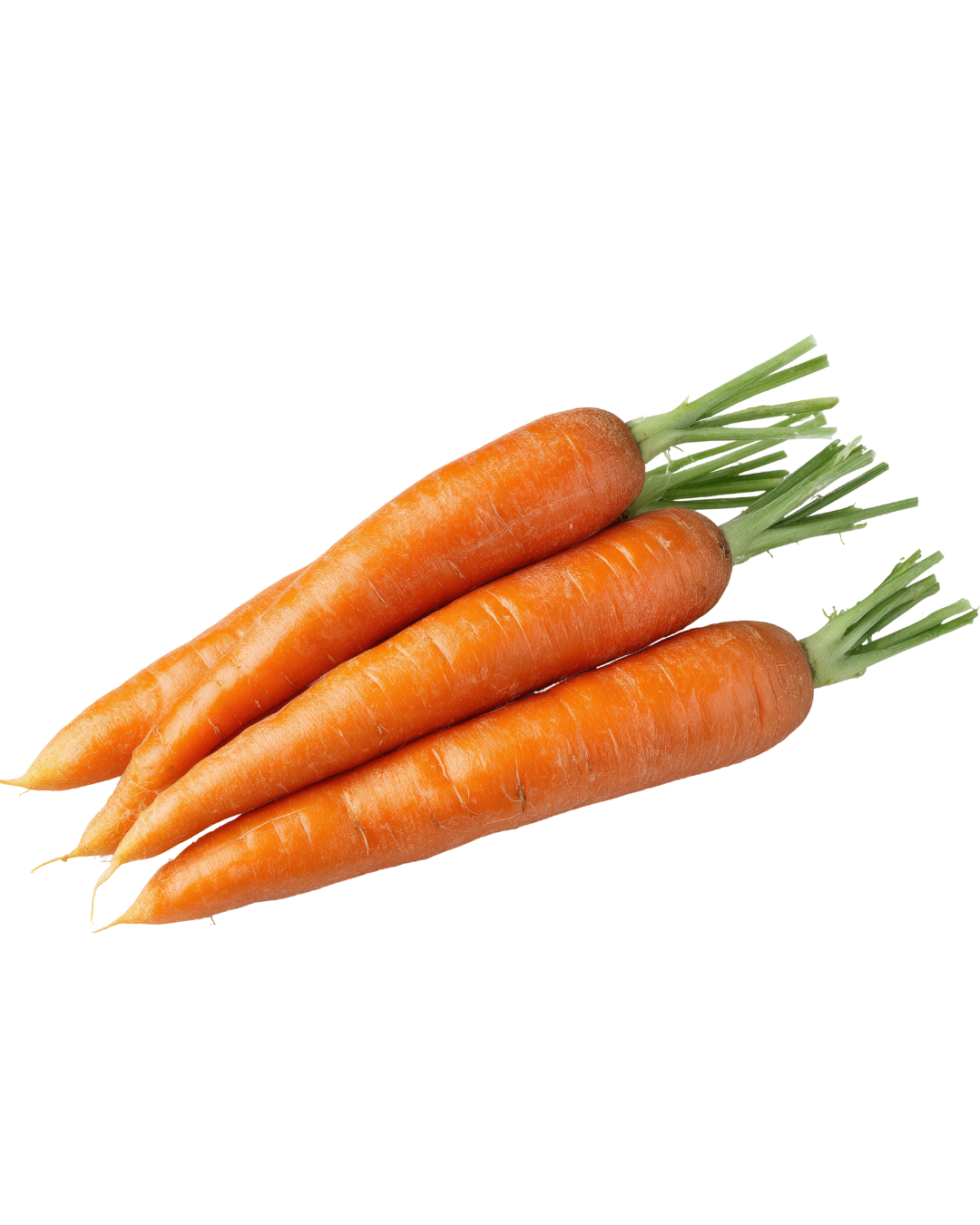 CARROT DELHI