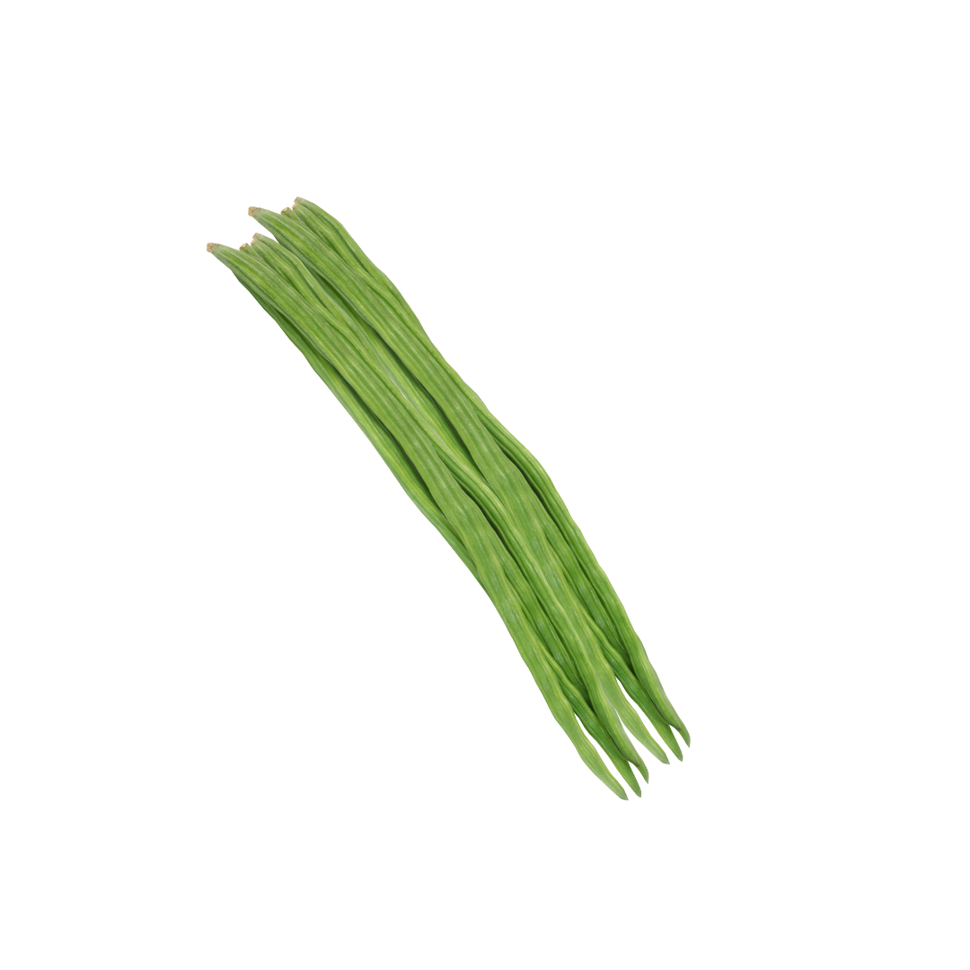 Drum Stick