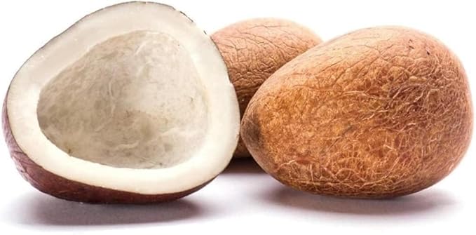 Dry Coconut