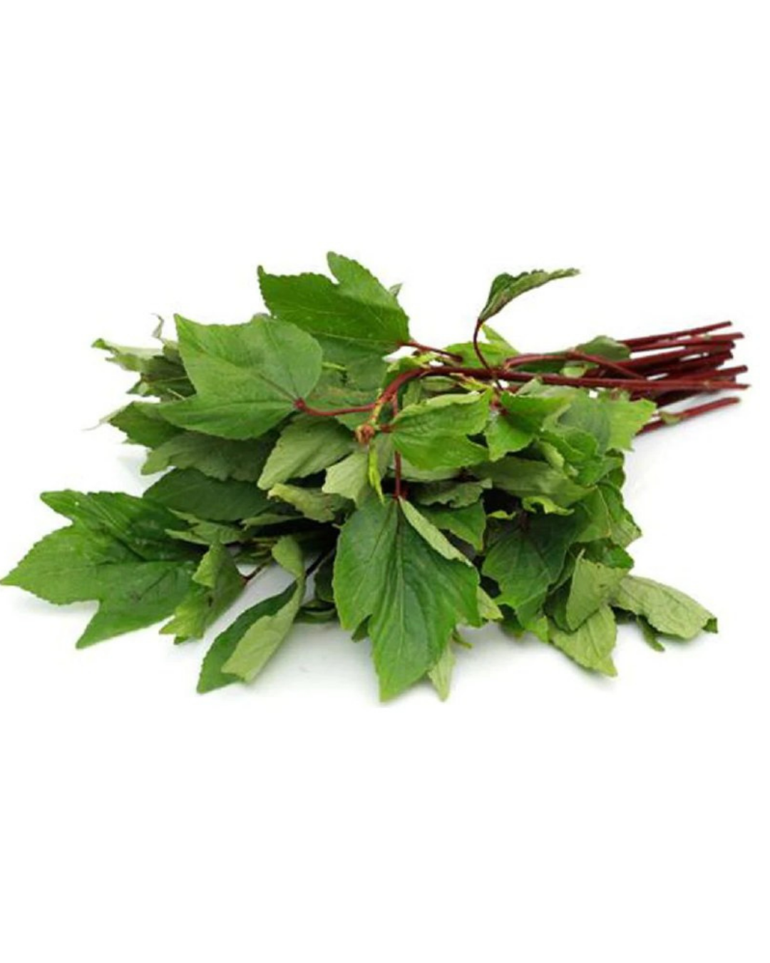 GONGURA (SORREL LEAVES )