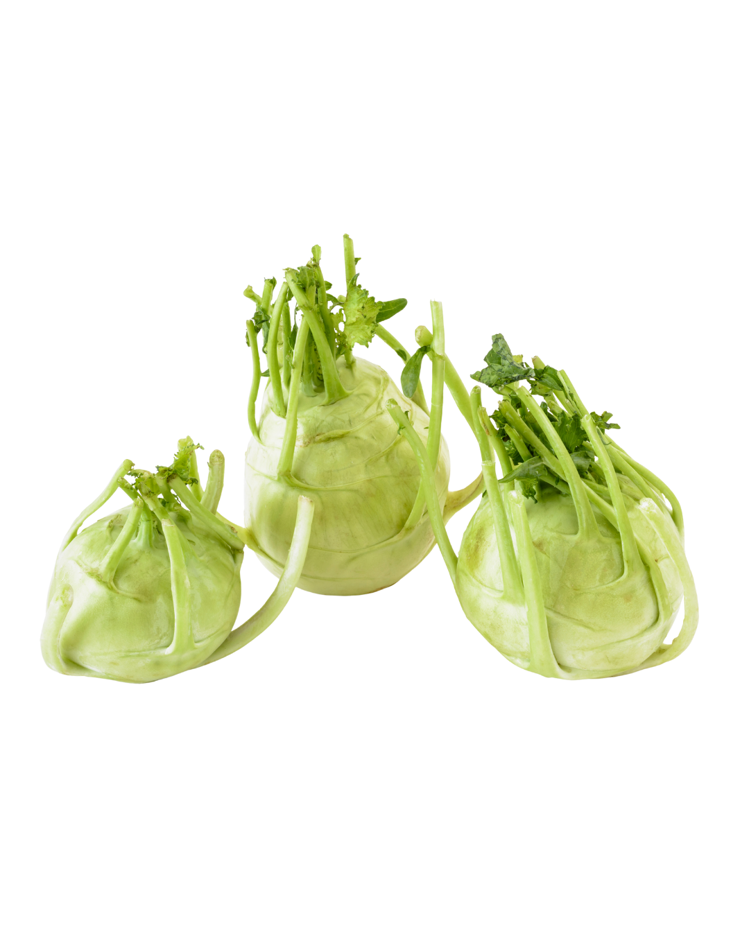 Knol Khol