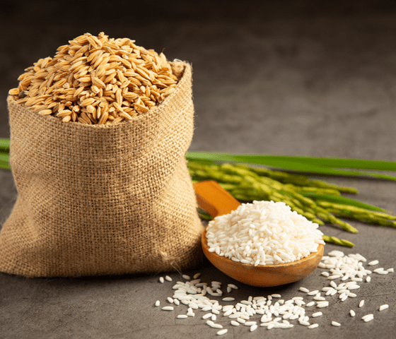 Nav Rajamudi Rice 1Kg