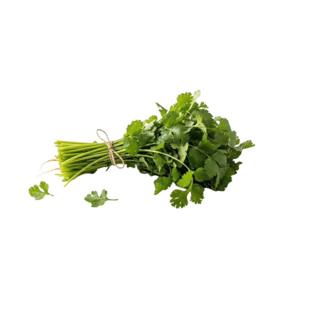 Nati Coriander Leaves