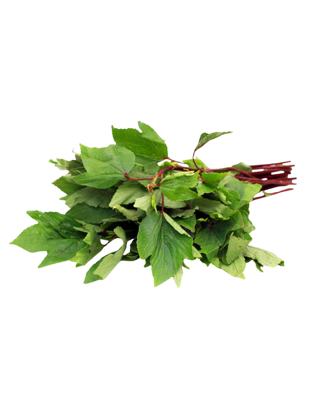PURITY PRAYAG-AMARANTHUS (GREEN DHANTU)