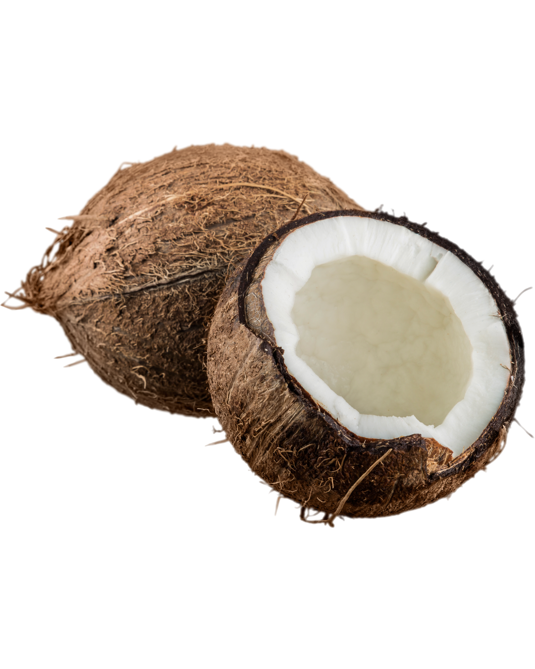 PURITY PRAYAG-COCONUT
