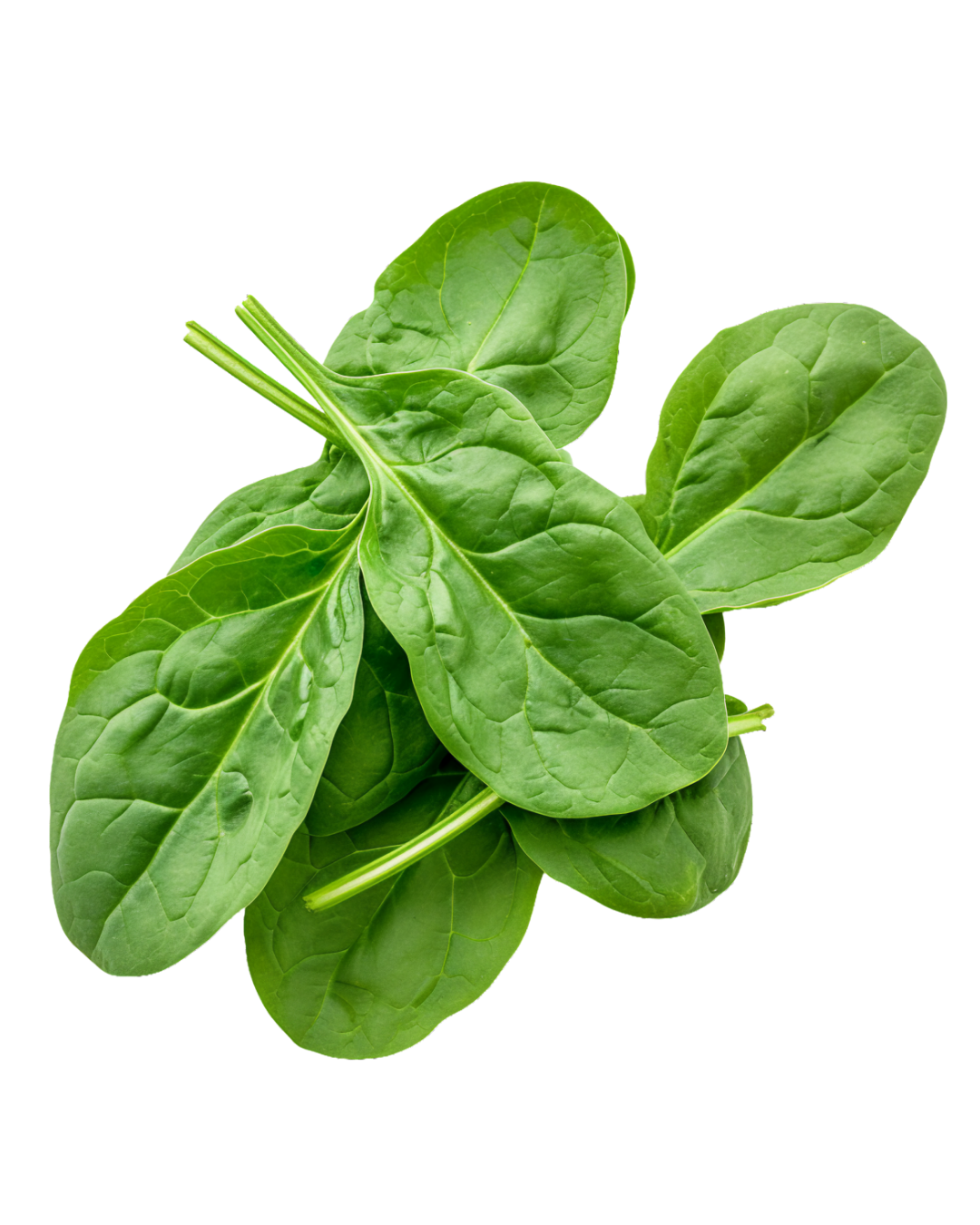 PURITY PRAYAG-SPINACH (PALAK)