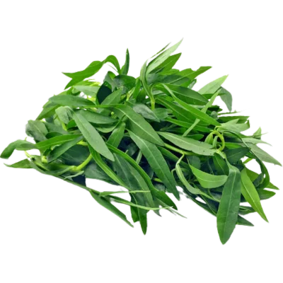 Ponnaganti kura