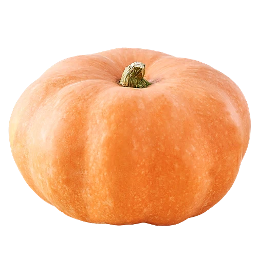 Pumpkin Sweet (Red)