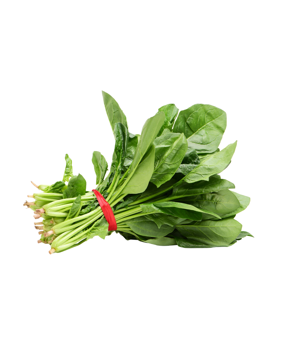 SPINACH (PALAK)