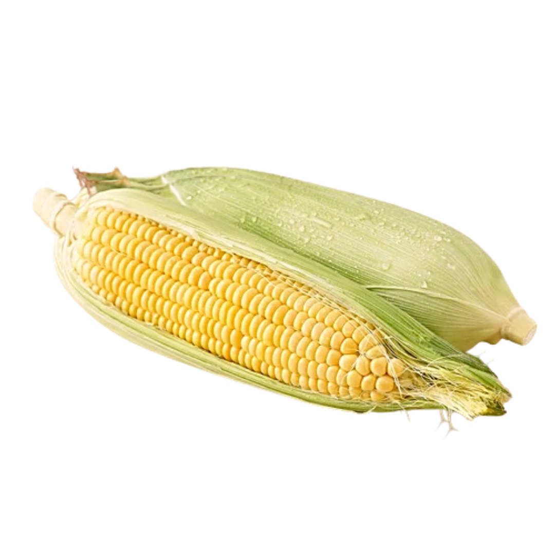 Sweet Corn