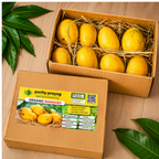 Kesar Mango 3 Kg