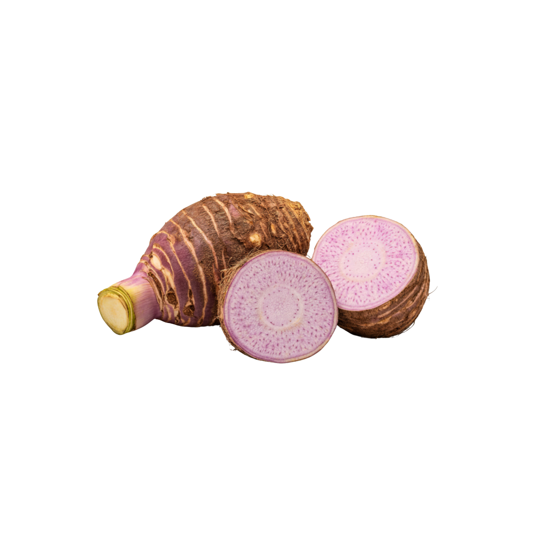 Yam Root