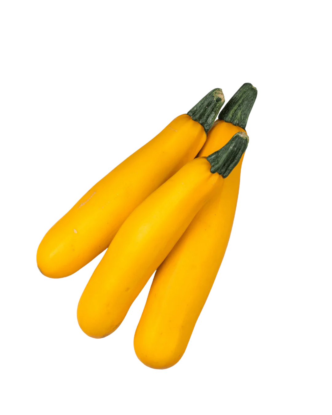 ZUCHIN YELLOW