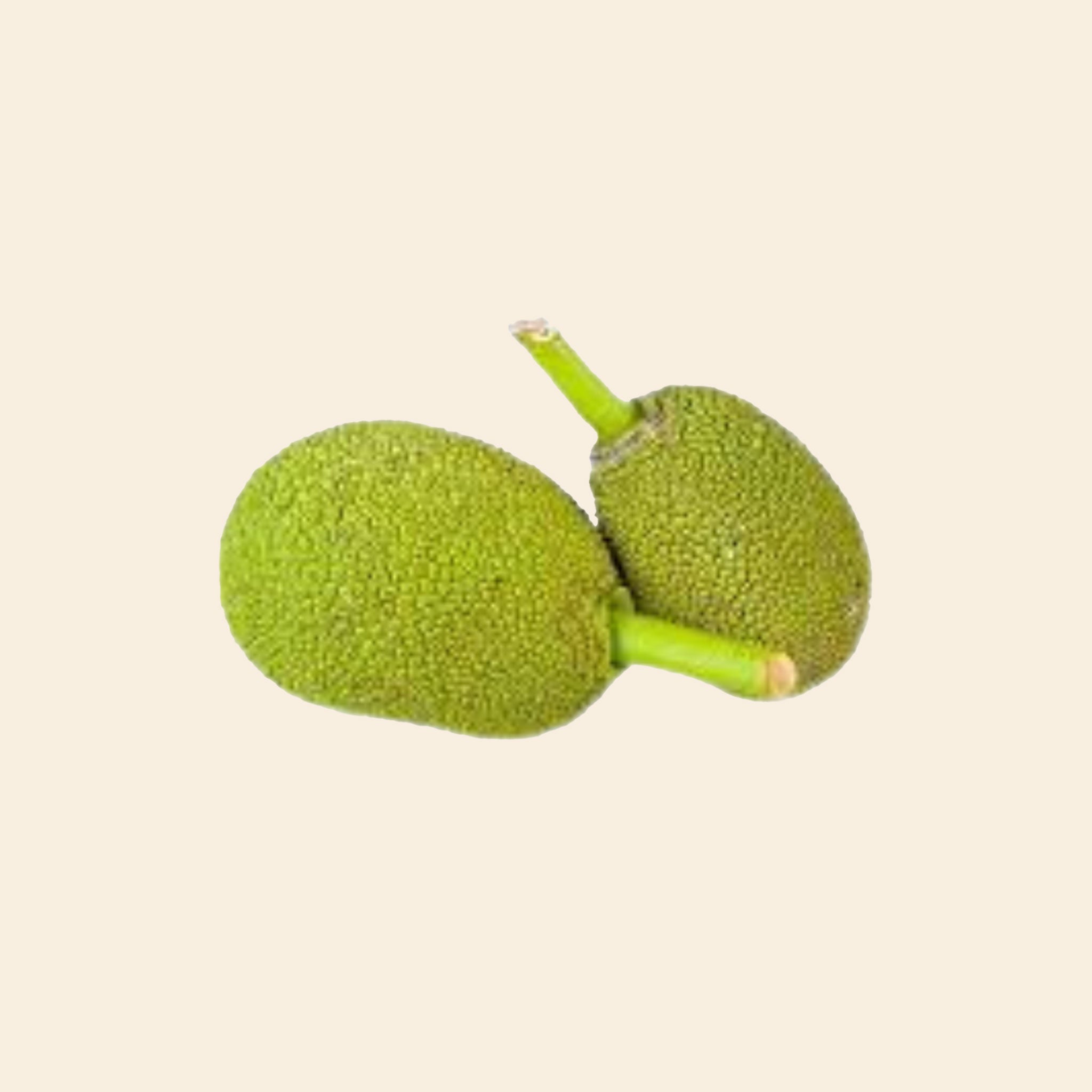 Baby Jack Fruit