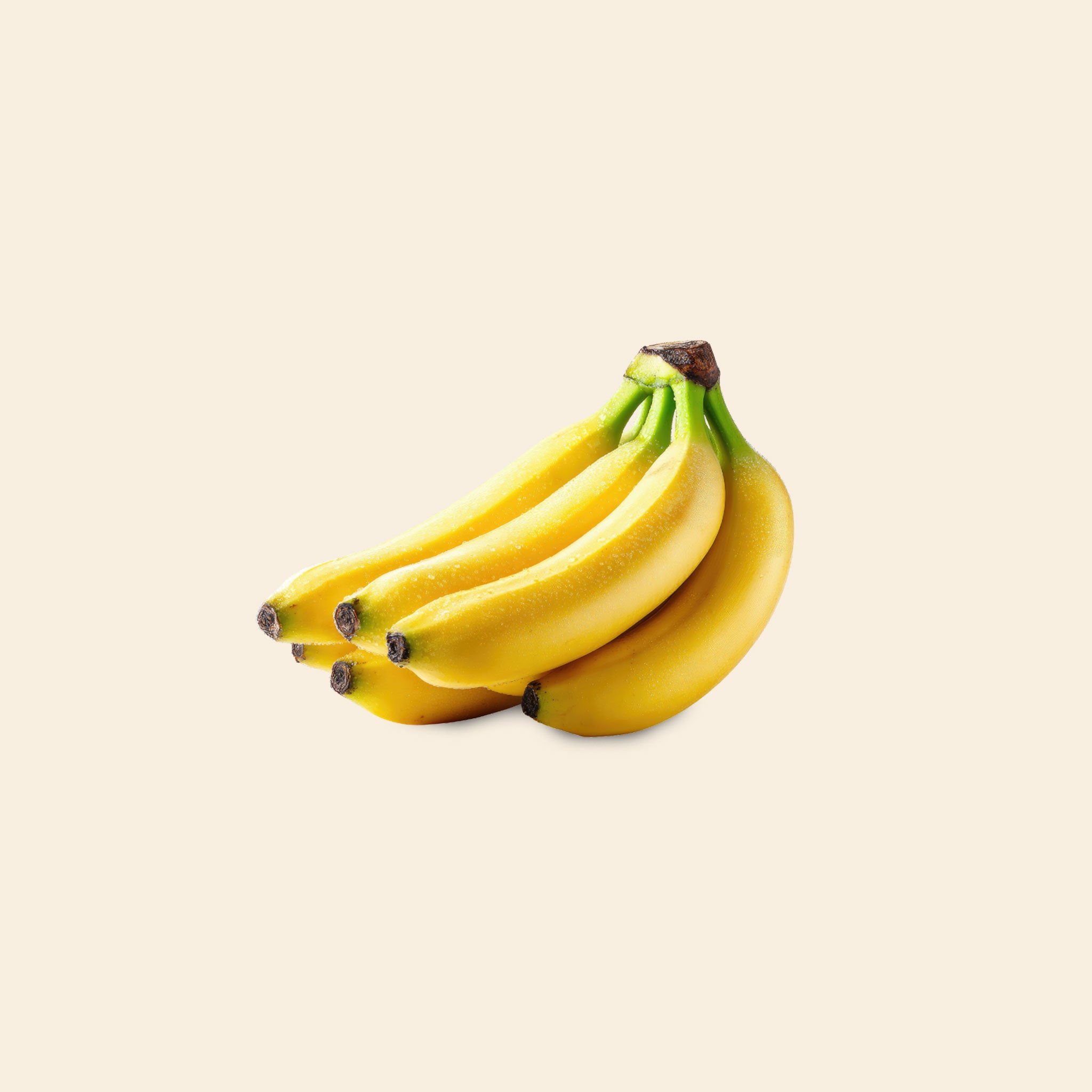 Banana Robusta