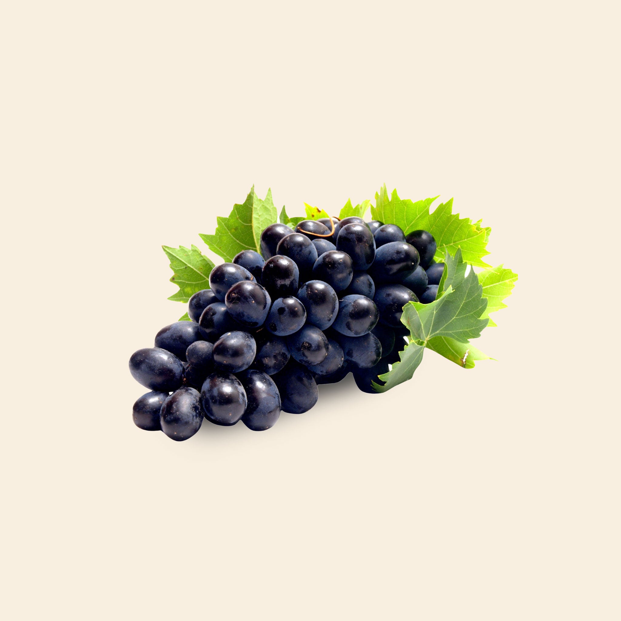BLACK GRAPES