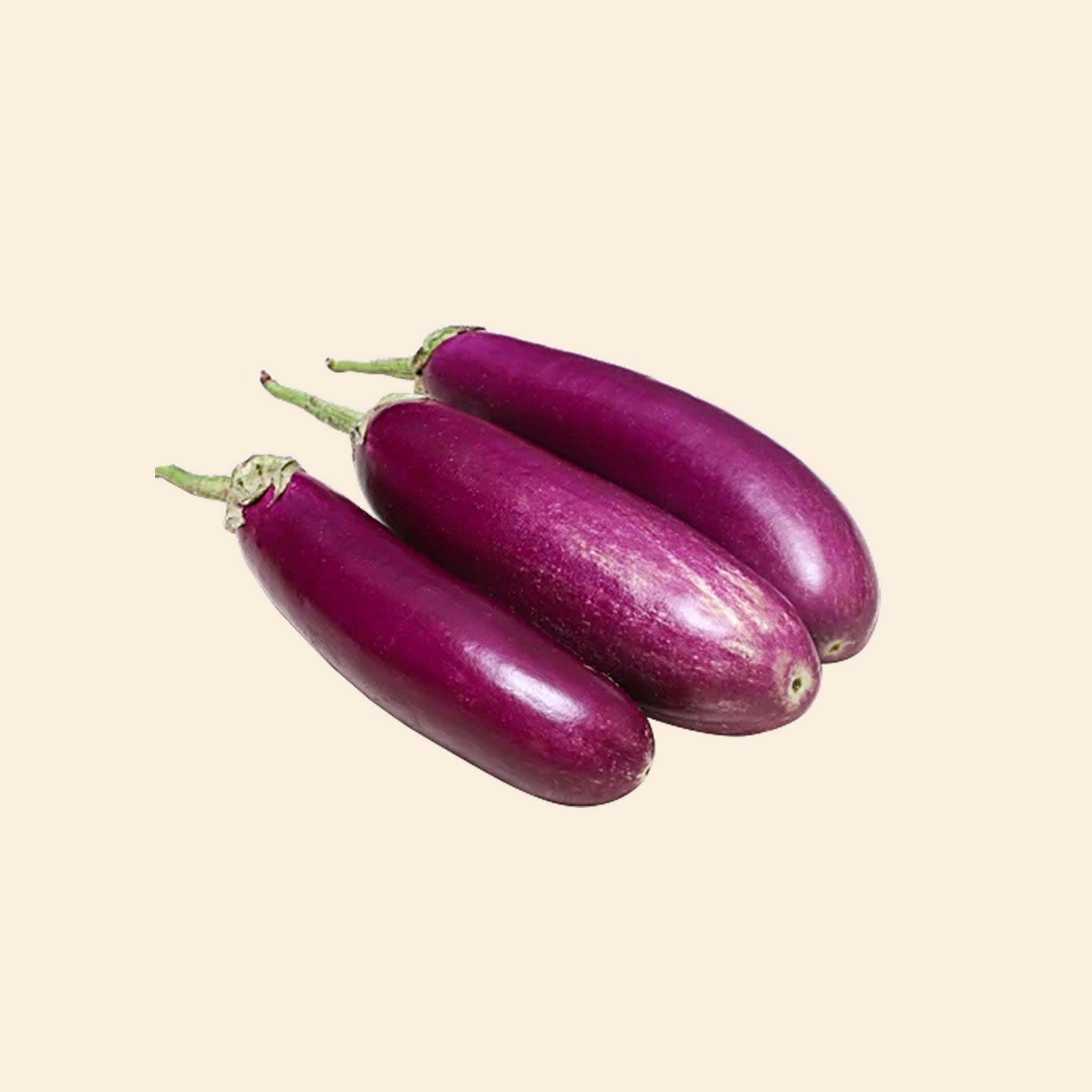 Brinjal Long