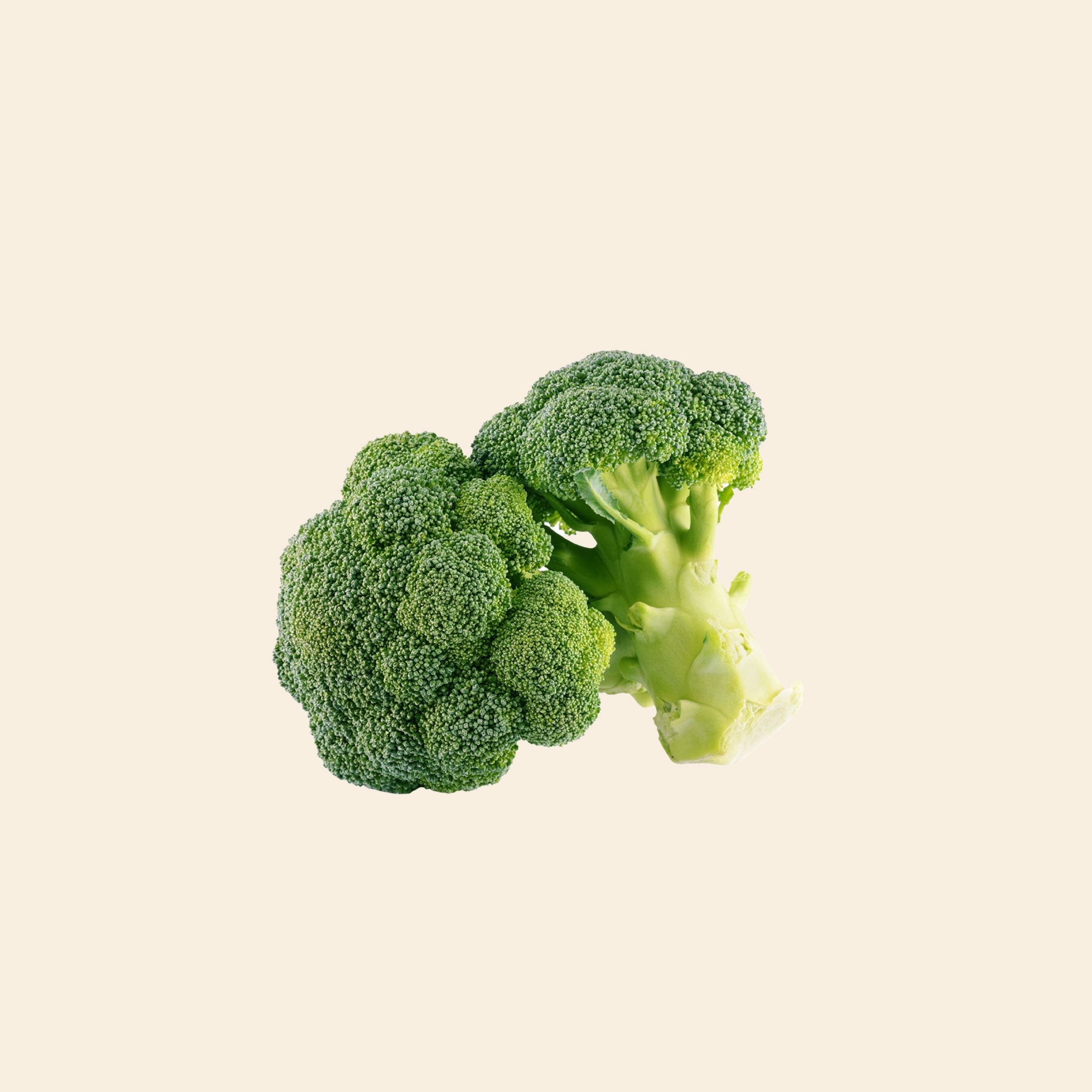 Broccoli