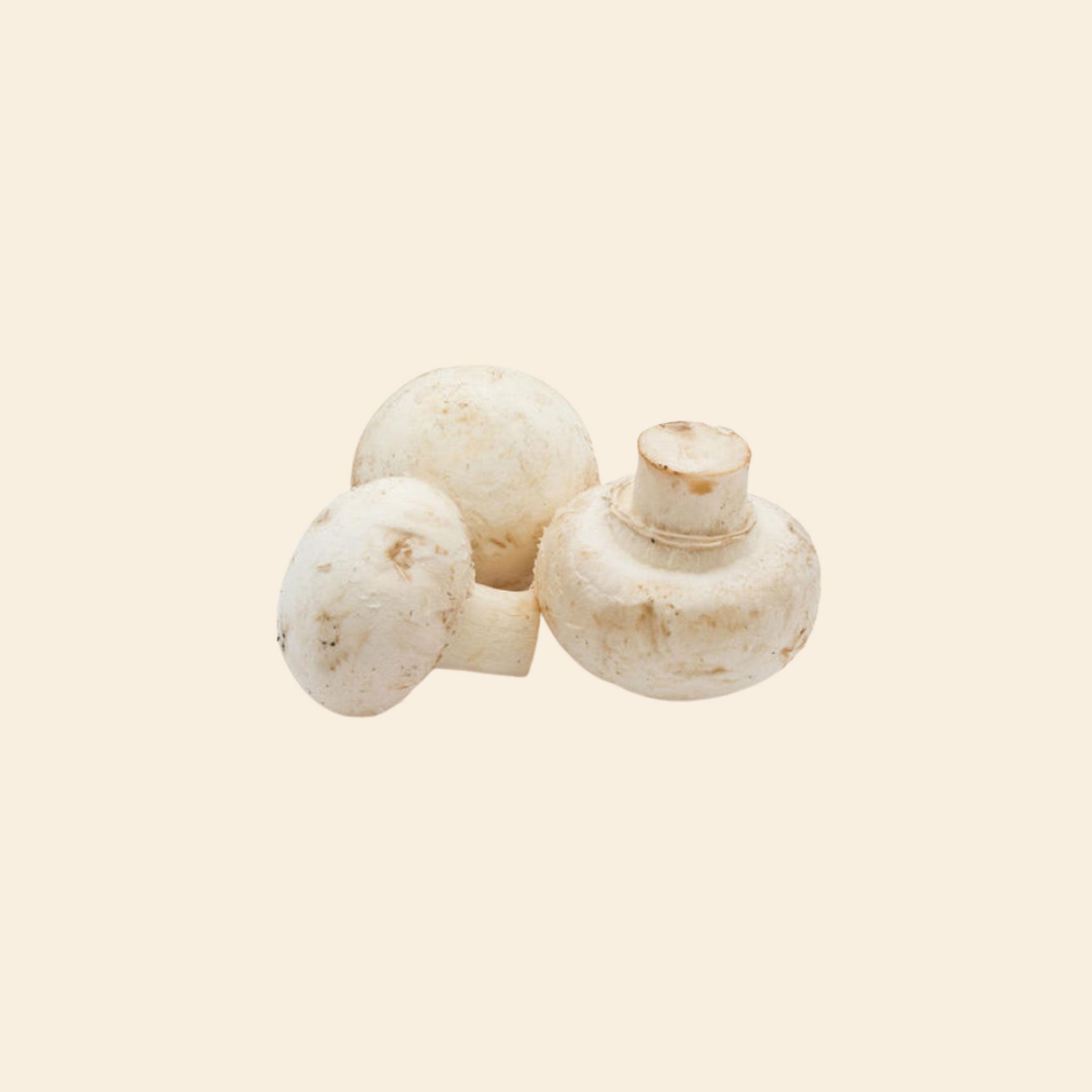 Button Mushroom