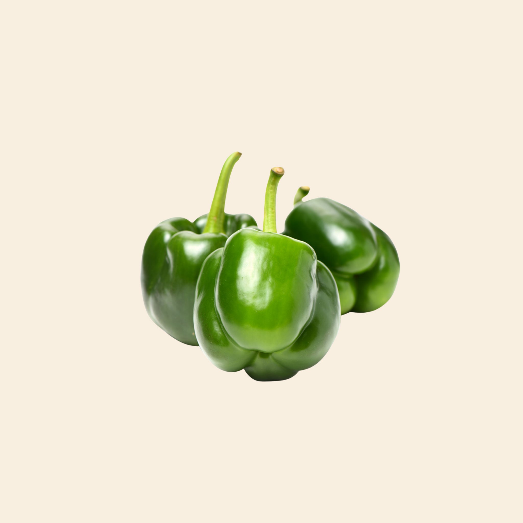 Capsicum