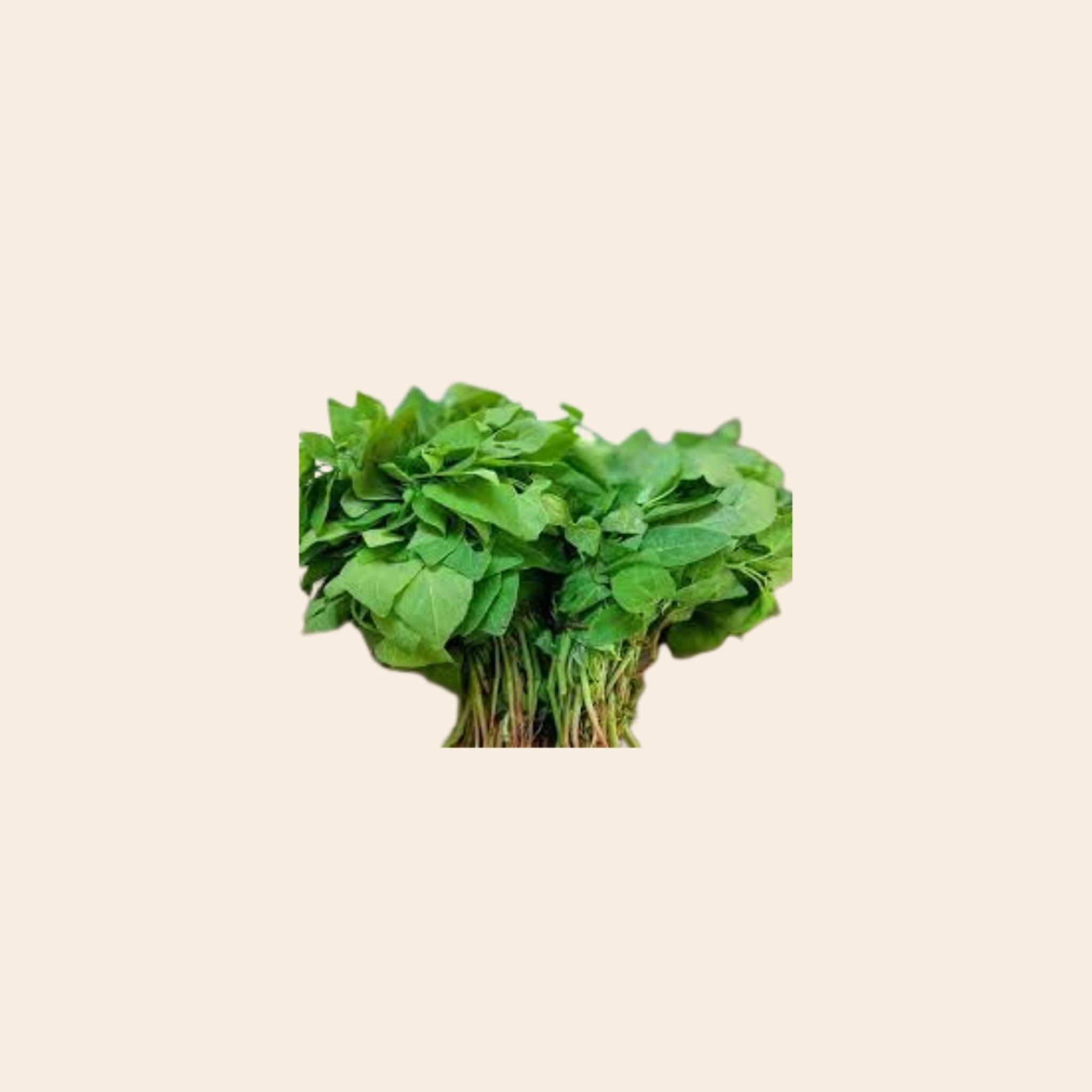 Chakotha Leaves