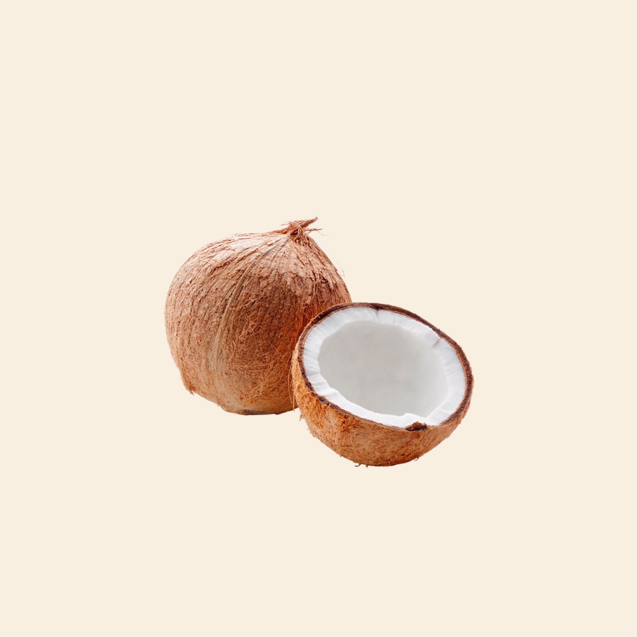 Coconut