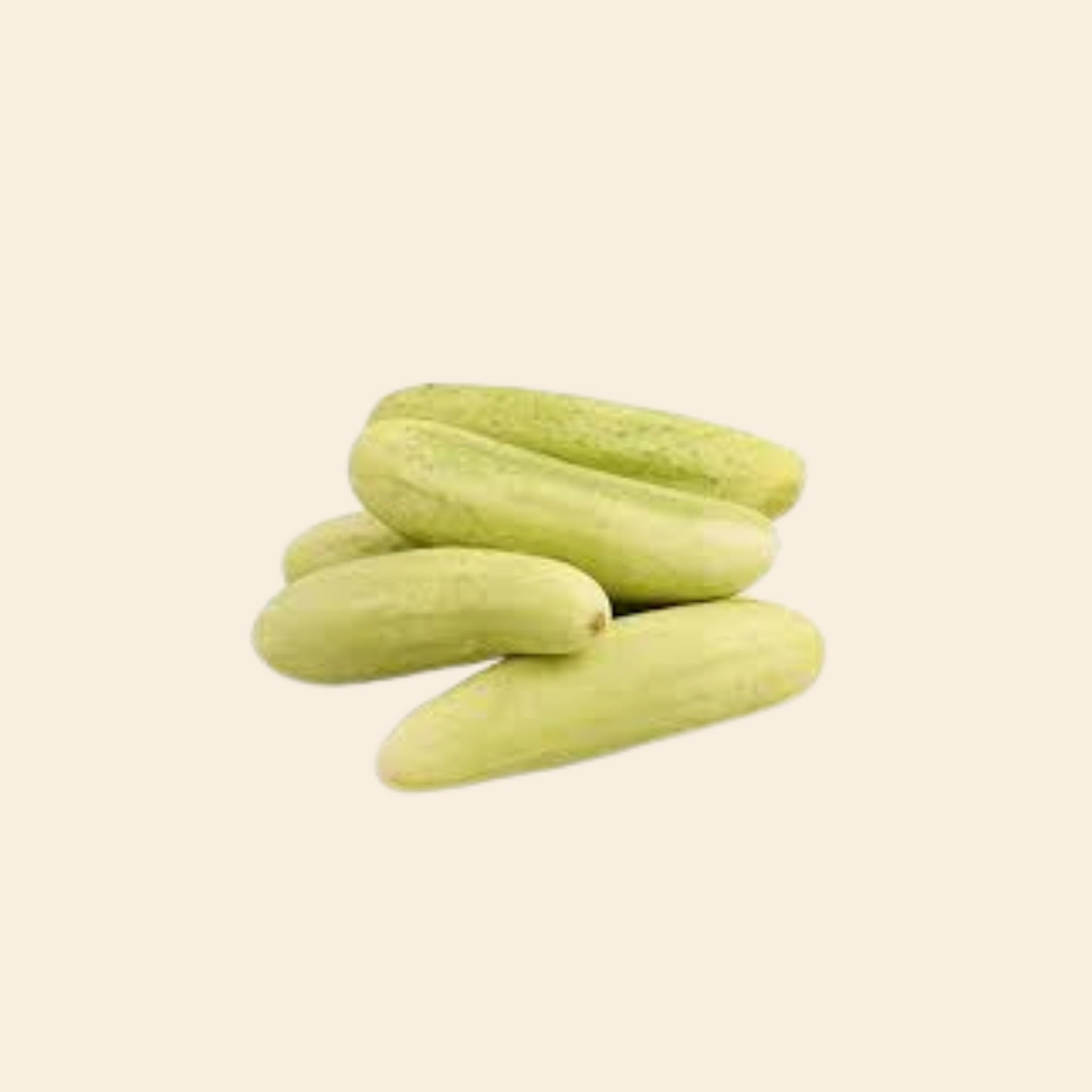 Cucumber White