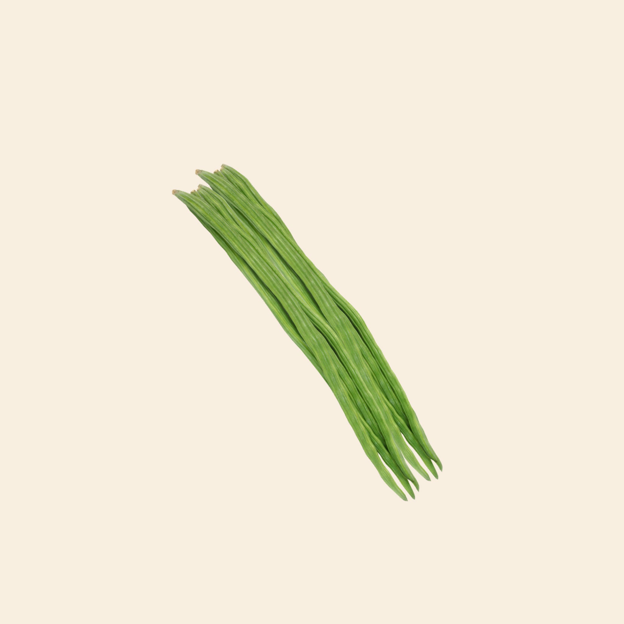 Drum Stick