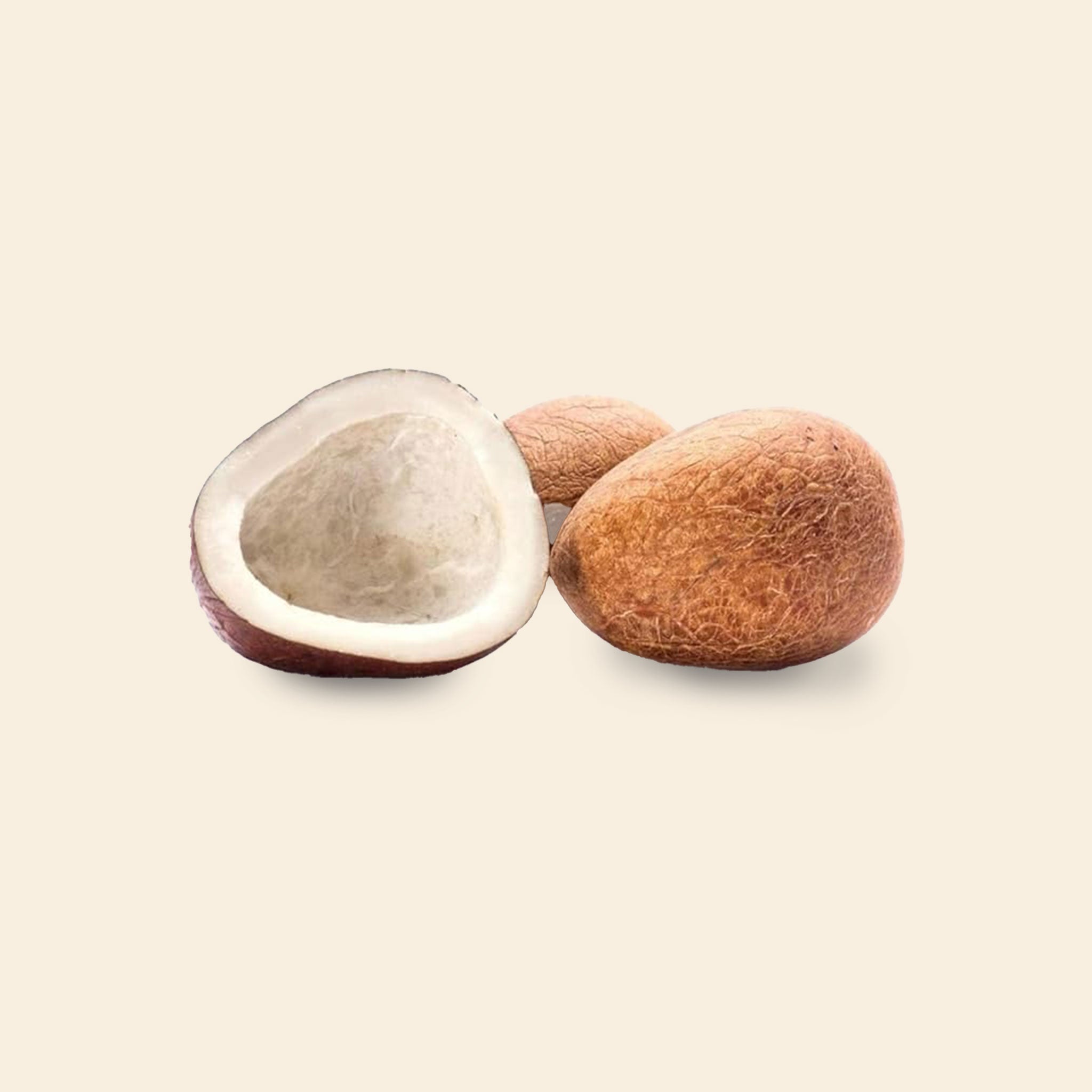 Dry Coconut