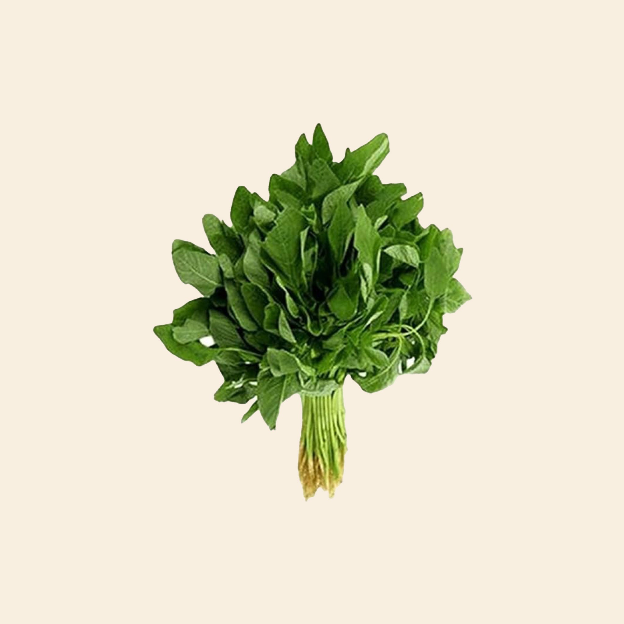 Green Amaranthus / Green Dhant