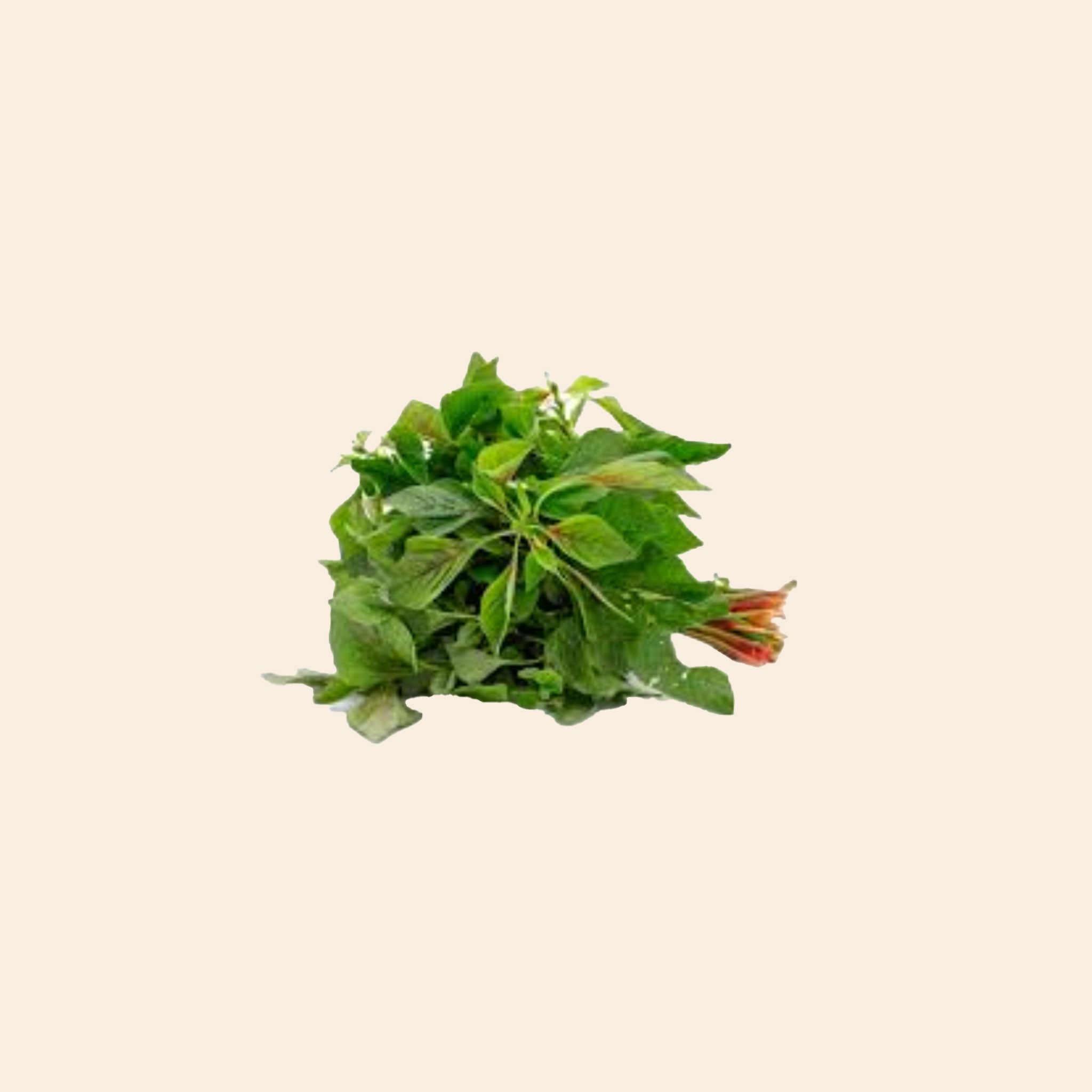 Hariva Leaves