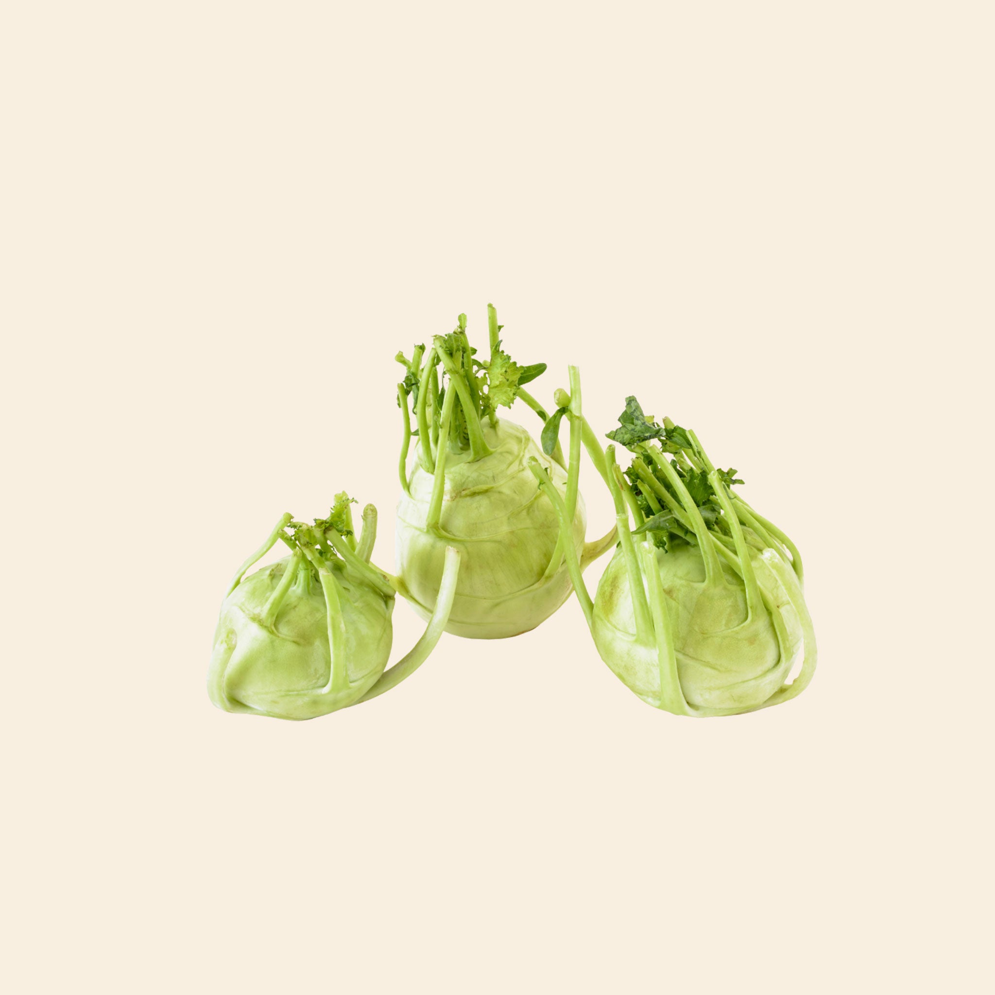Knol Khol