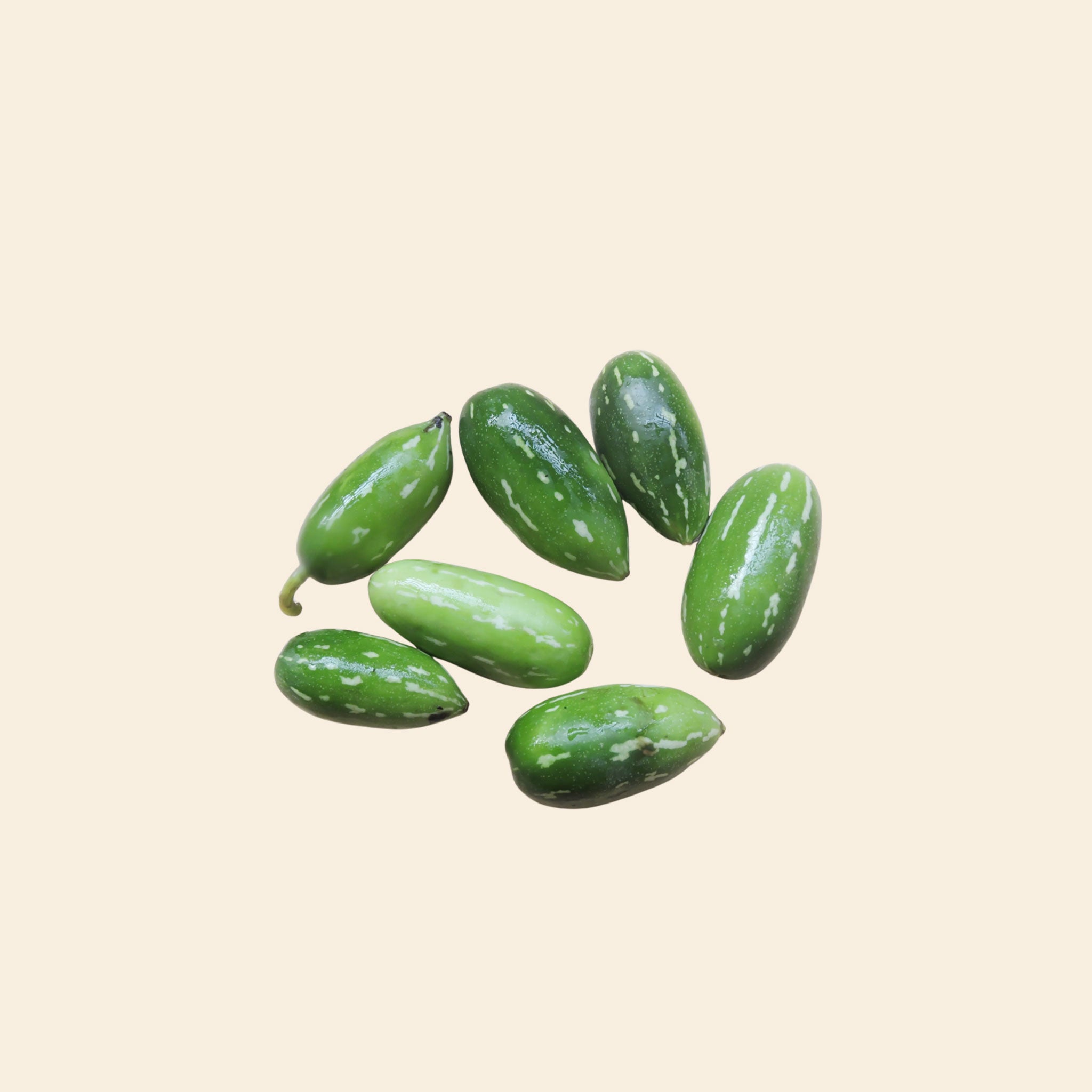 Little Gourd