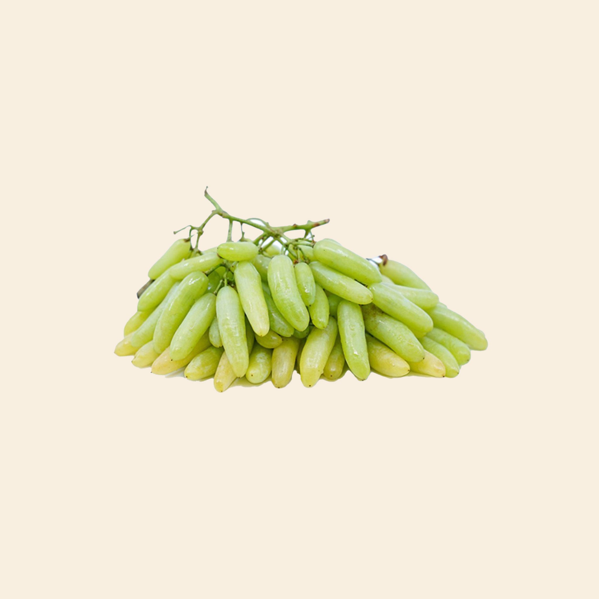 Manik Chaman Grapes
