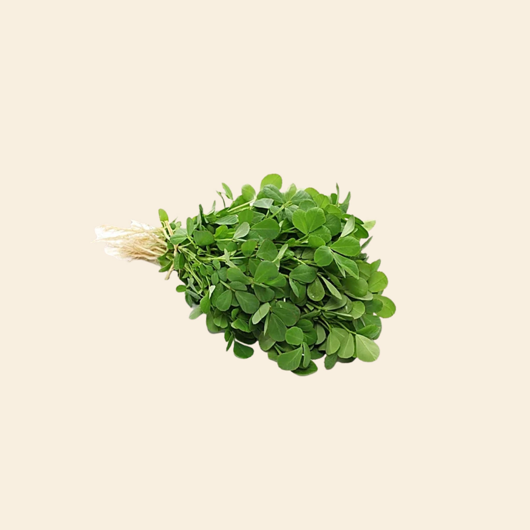 Methi (Menthya)