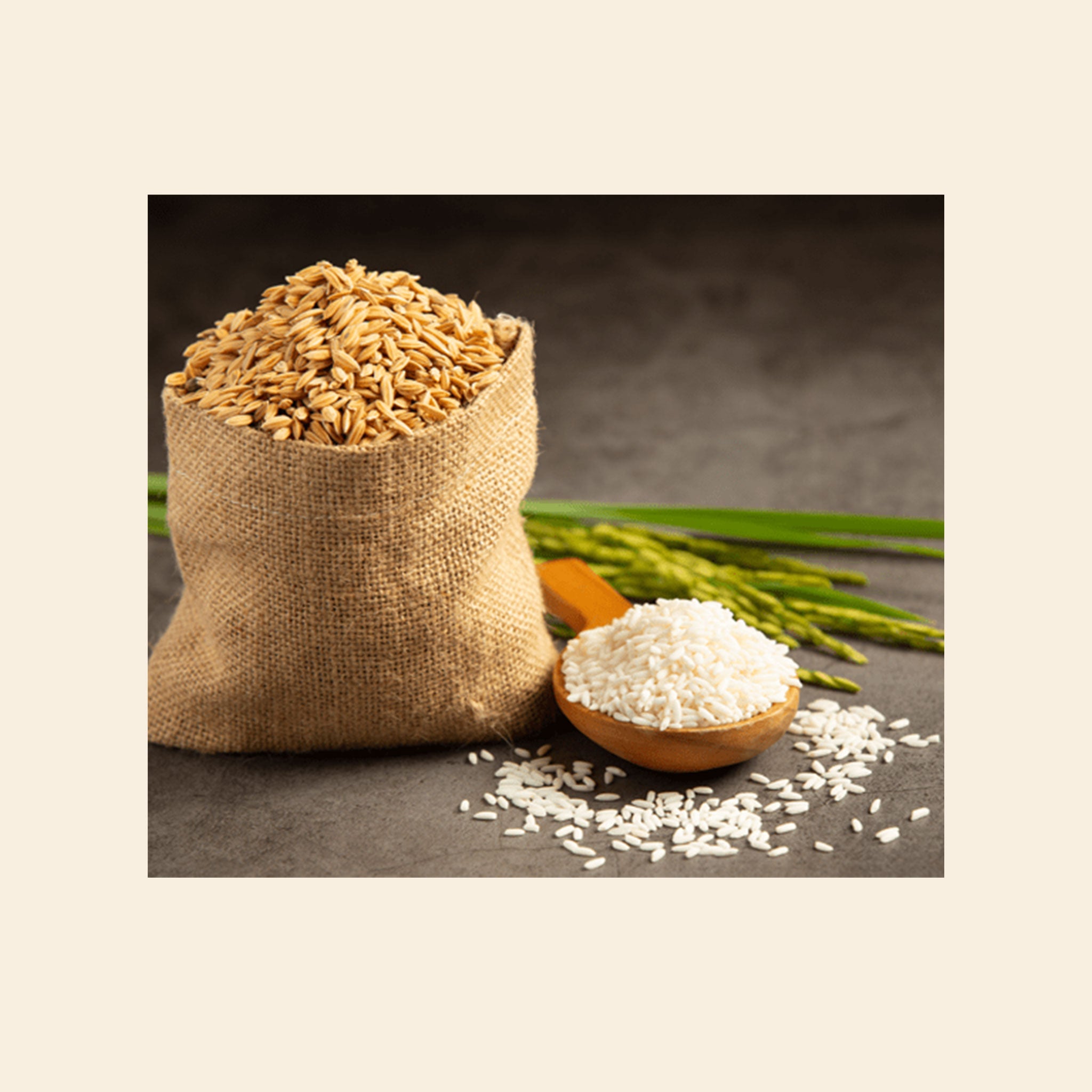 Nav Rajamudi Rice 1Kg