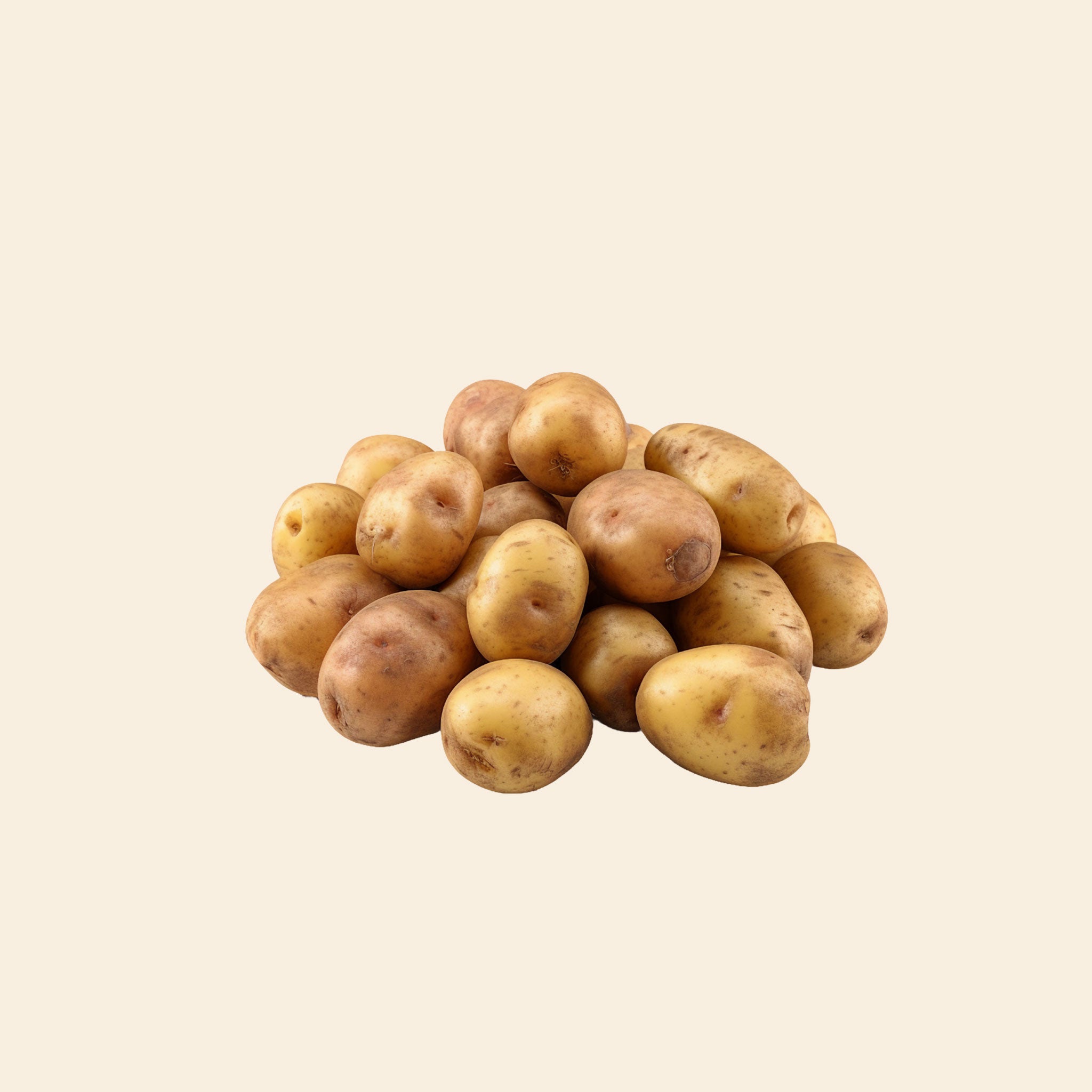 Potato