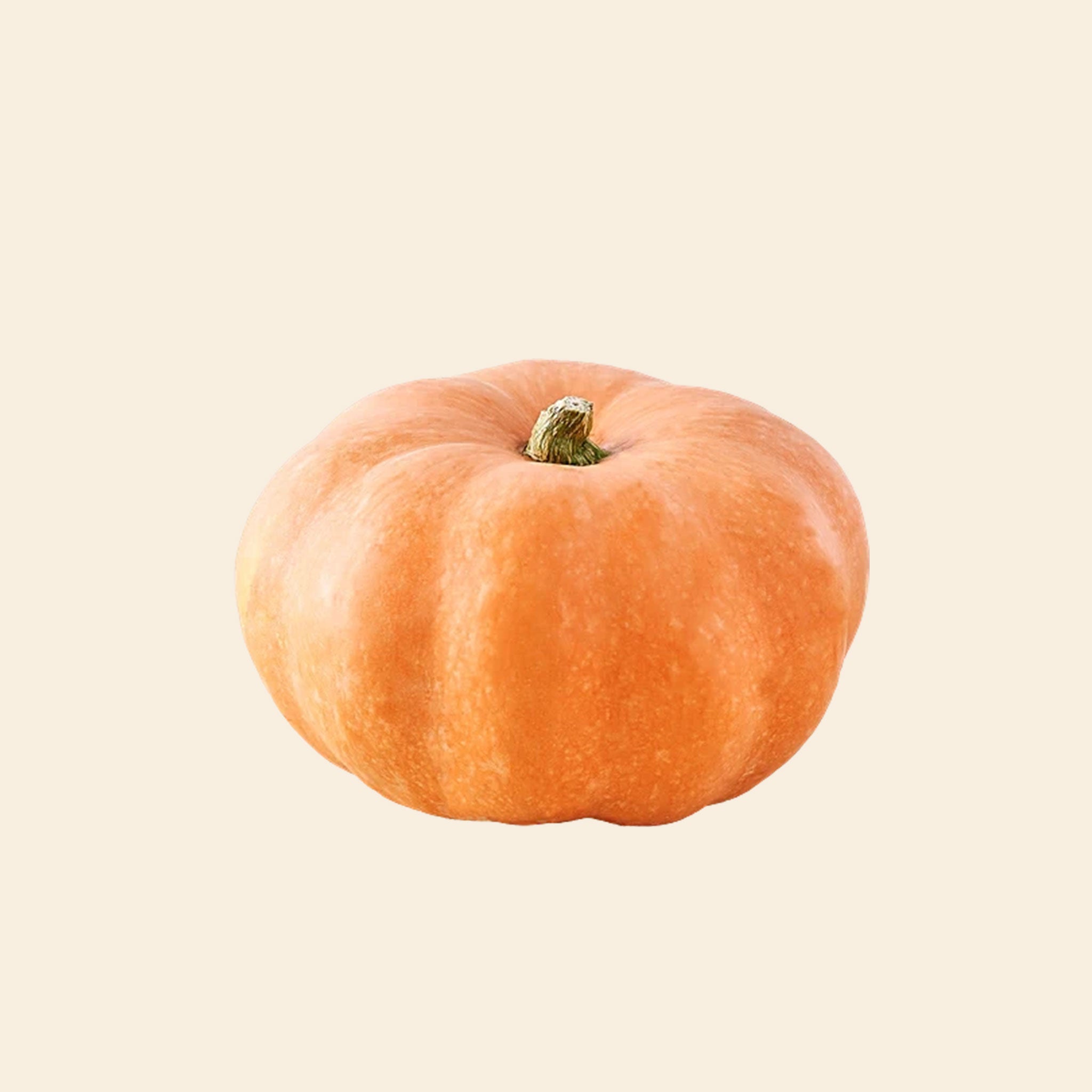 Pumpkin Sweet (Red)